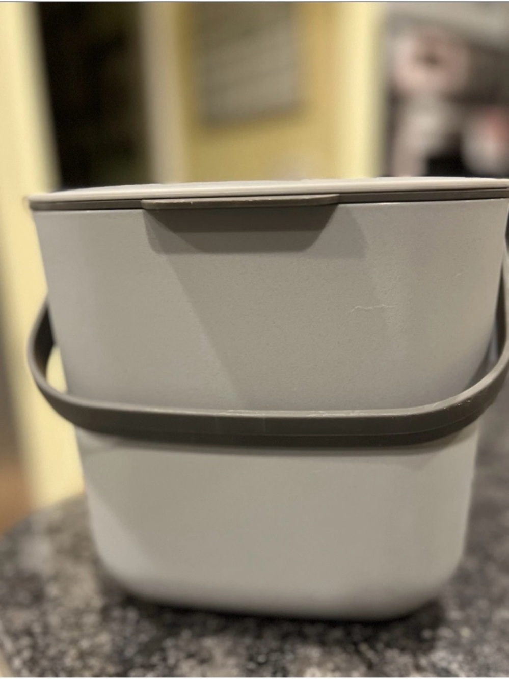 Target Mini~Countertop Composting Bin